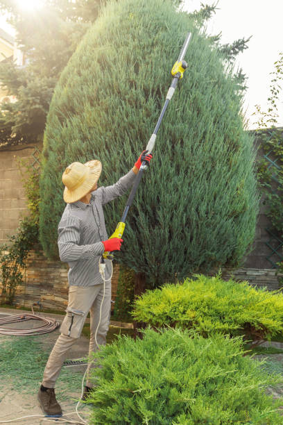 Best Lawn Irrigation Installation and Maintenance  in Coats, NC